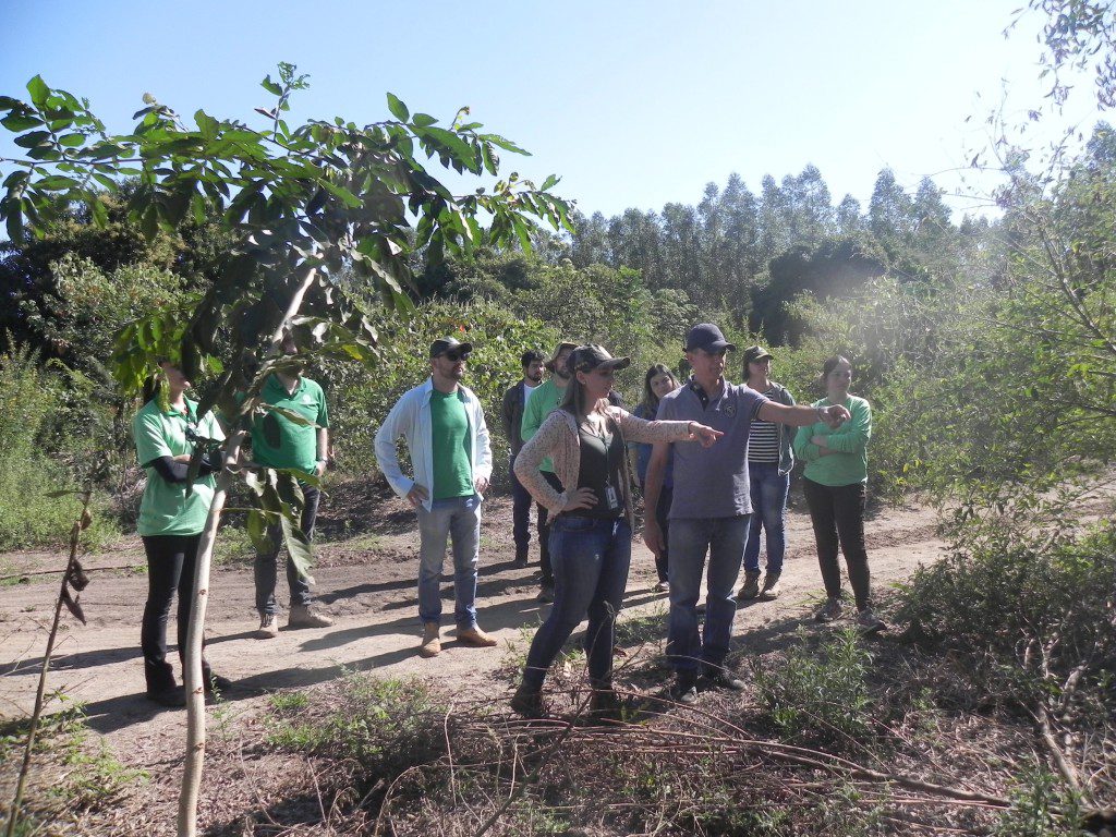 Visita à área de 140 hectares com plantio consorciado com adubação verde.