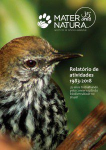 capa relatorio - site