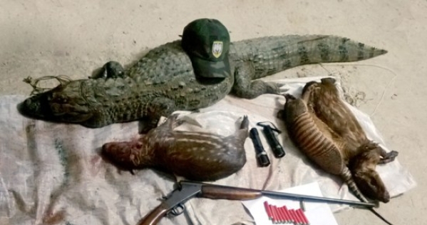 Campanha contra o PL da caça - Fonte: Rede Animalista Brasil.
