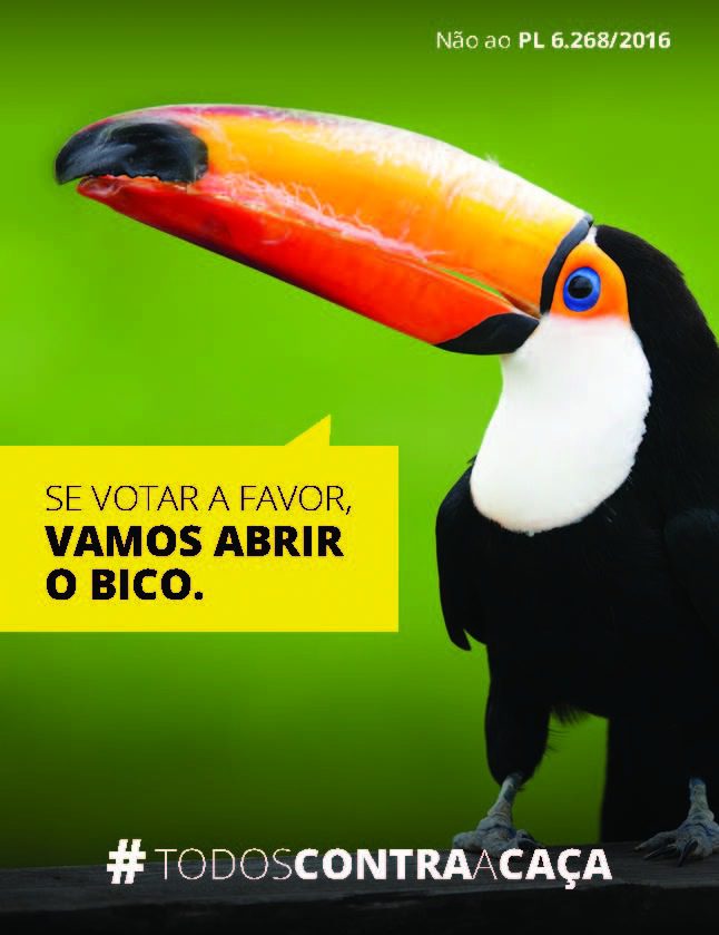 Foto e arte: Grupo OM - Marketing e Comunicação.
