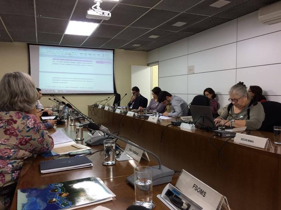 Participação da FBOMS em evento.