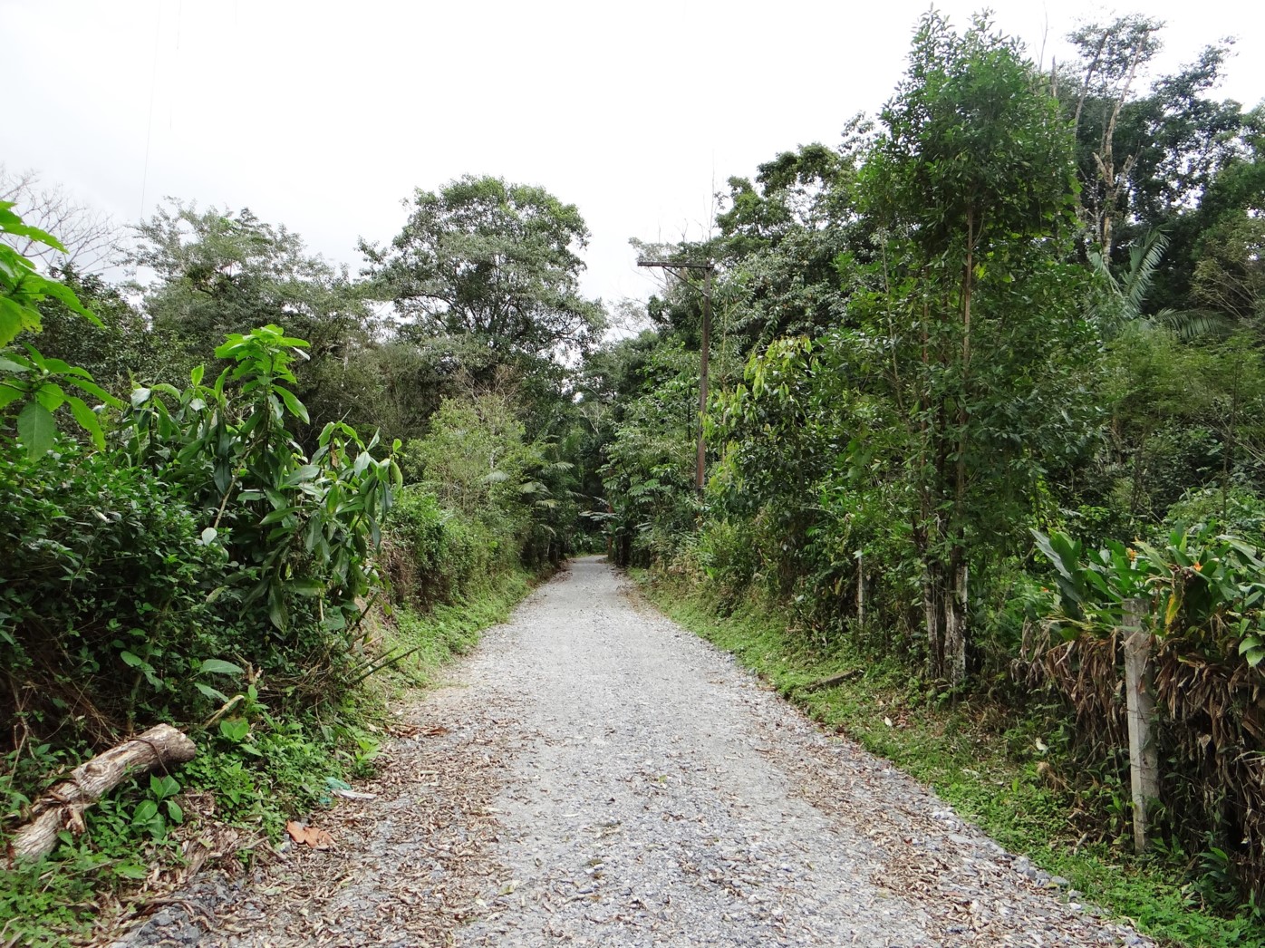 Entrada do terreno.