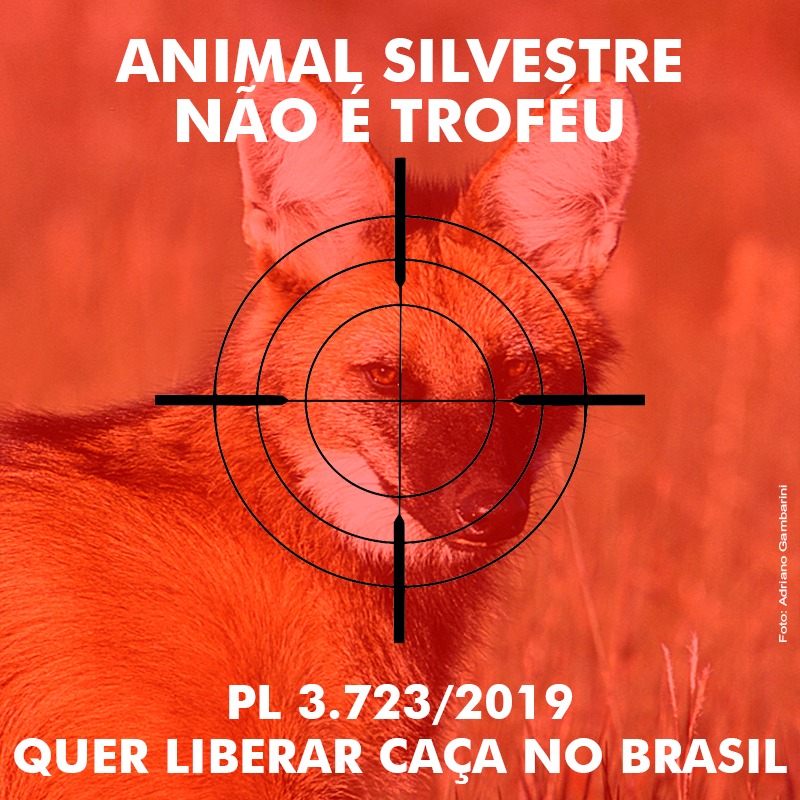 #TODOSCONTRAACAÇA