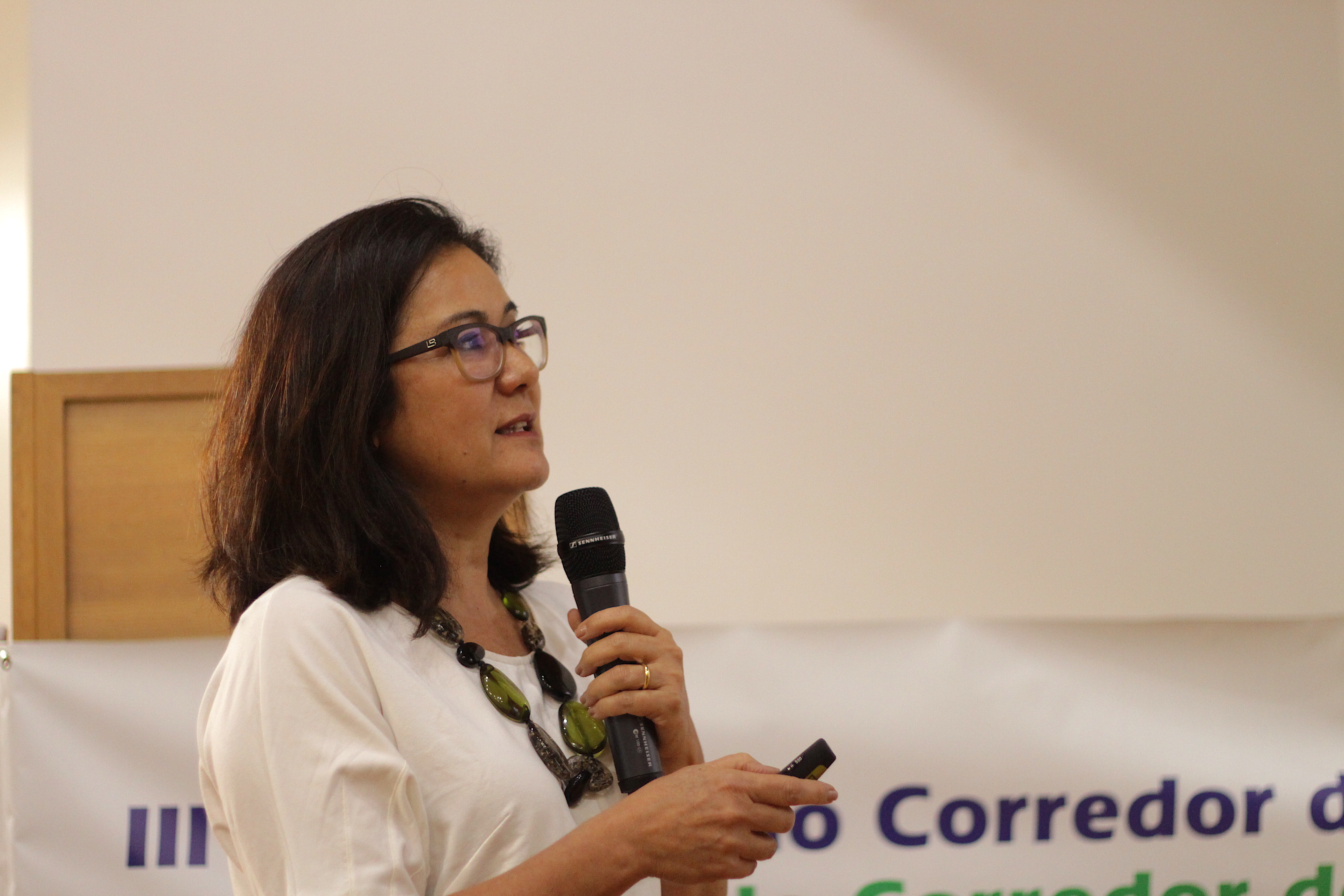 Vitoria Yamada (SPVS) durante apresentação do projeto de restauração financiado pelo BNDES.
