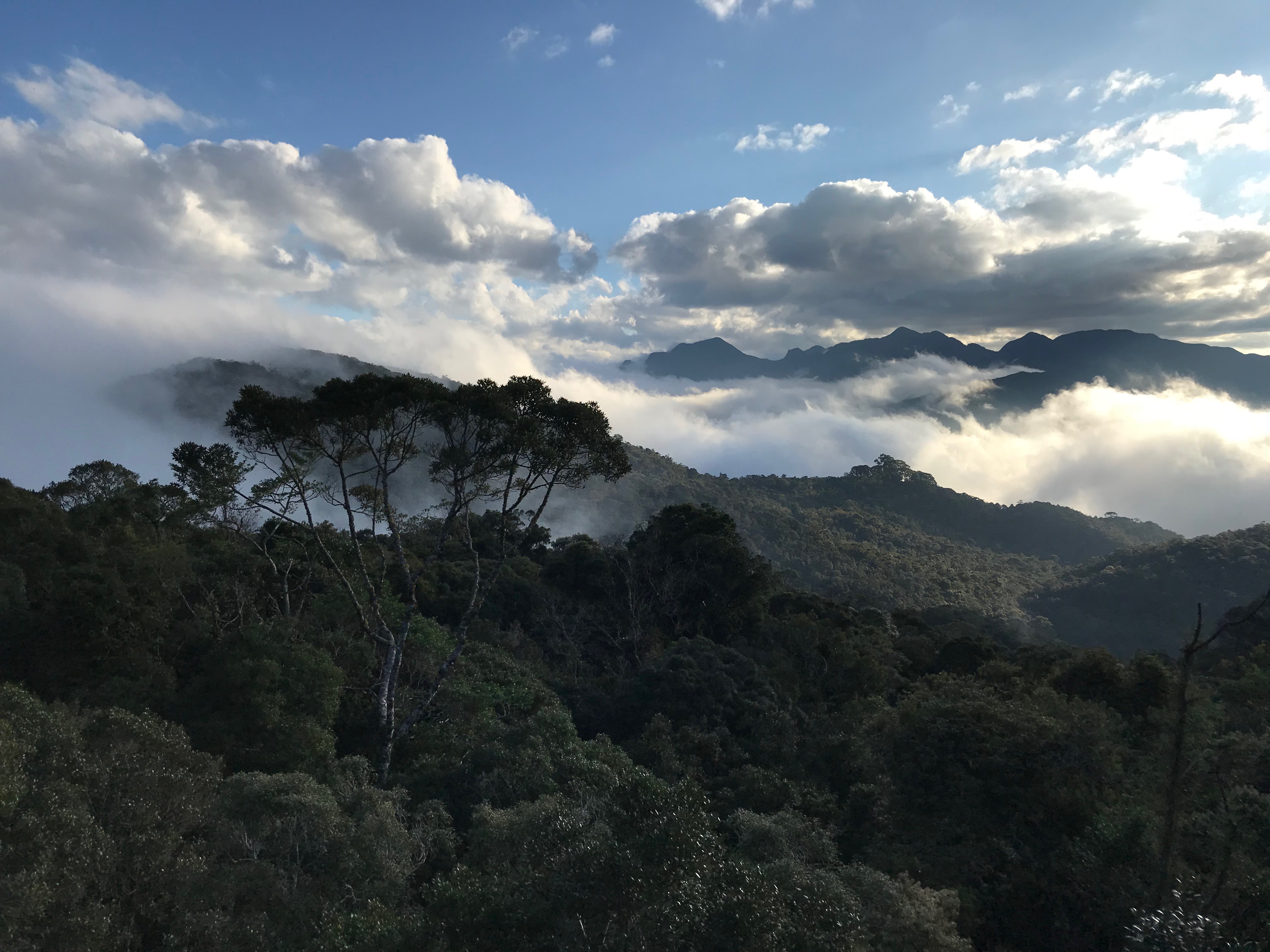 Parque Nacional do Itatiaia - Um dos locais de coleta.