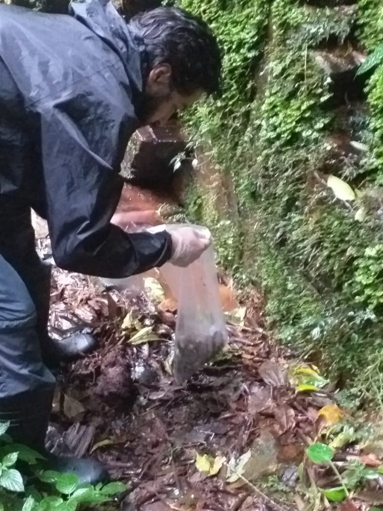 Coleta no Parque Nacional de Aparados da Serra.