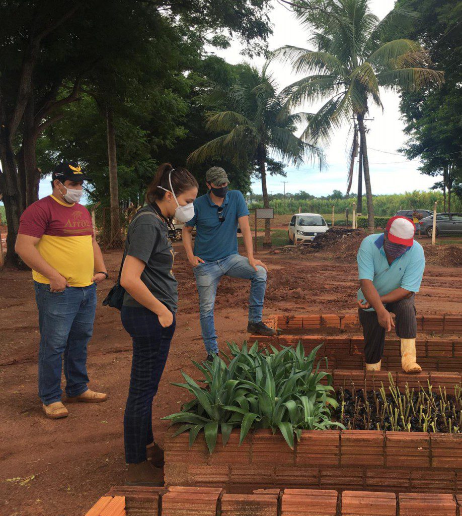 Visita Secretaria de Meio Ambiente de Querência do Norte - PR.