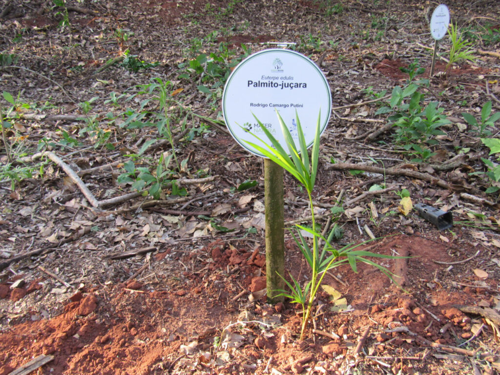 Homenagem Bosques da Memória